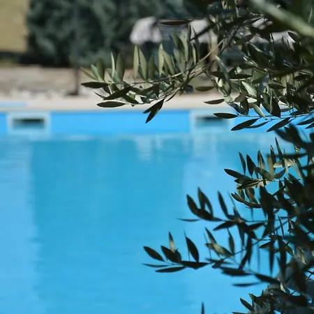 Agata Porec